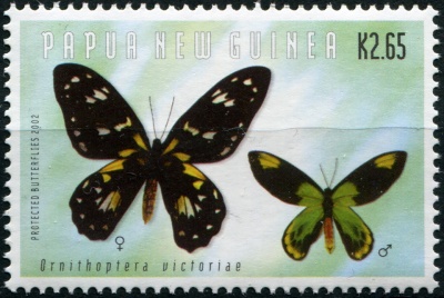 Папуа Новая Гвинея. 2002. Орнитоптера королевы Виктории (Почтовая марка. MNH OG)
