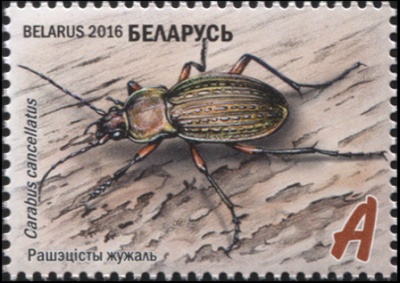 Беларусь. 2016. Решетчатая жужелица (Почтовая марка. MNH OG)