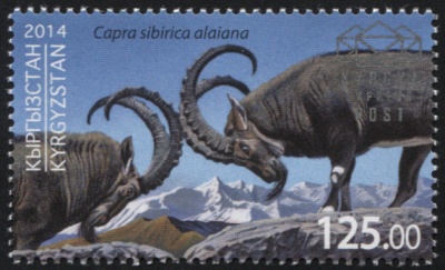 Кыргызстан. 2014. Центральноазиатский козел (Почтовая марка. MNH OG)