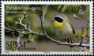Сен-Пьер и Микелон. 2017. Желтогорлый певун (Почтовая марка. MNH OG)
