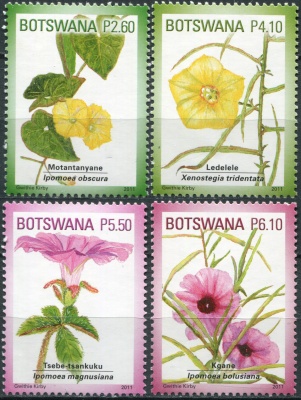 Ботсвана. 2011. Ипомея (Серия. MNH OG)