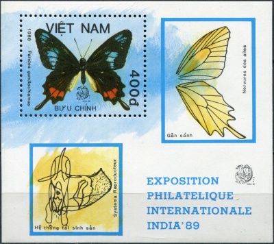 Вьетнам. 1989. Бабочки семейства парусников Parides gundlachianus (Блок. MNH OG)