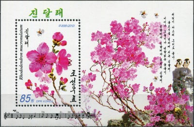 КНДР. 2010. Рододендрон остроконечный (Rhododendron mucronulatum) (Блок. MNH OG)
