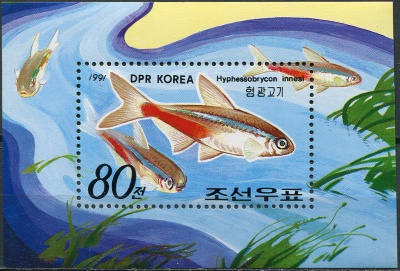 КНДР. 1991. Голубой неон (Hyphessobrycon innesi) (Почтовый блок. MNH OG)