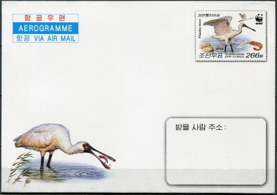 КНДР. 2009. Малая колпица (Platalea minor) (Аэрограмма. Mint)