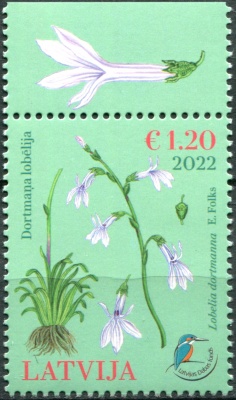Латвия. 2022. Водная лобелия (Lobelia dortmanna) (III) (Почтовая марка. MNH OG)