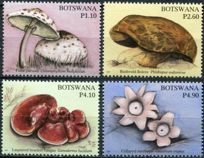 Ботсвана. 2007. Грибы Ботсваны (Серия. MNH OG)