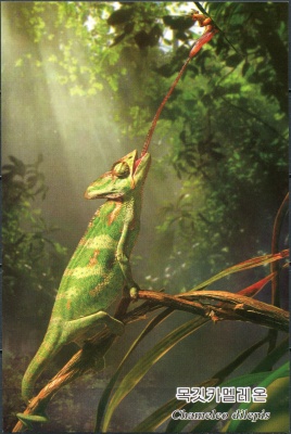 КНДР. 2009. Хамелеон (Chamaeleo dilepis) (Открытка. Mint)