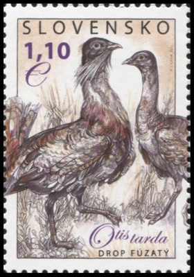 Словакия. 2011. Дрофа (Почтовая марка. MNH OG)