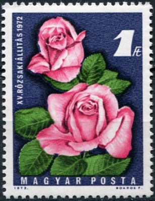 Венгрия. 1972. 15-я национальная выставка роз (Почтовая марка. MNH OG)