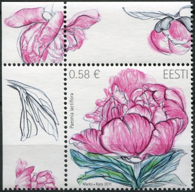 Эстония. 2011. Пион (Paeonia lactiflora) (IV) (Почтовая марка. MNH OG)