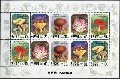 КНДР. 1991. Грибы (Малый лист. MNH OG)