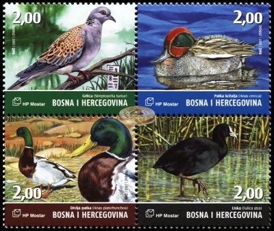 Босния и Герцеговина. 2007. Птицы национального парка Hutovo Blato (Квартблок. MNH OG)