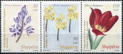 Албания. 2013. Цветы (Сцепка. MNH OG)