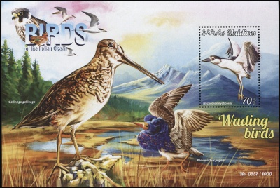 Мальдивы. 2015. Болотные птицы (Блок. MNH OG)