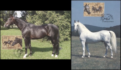 Словакия. 2005. Лошади (Серия KMX. Мint)