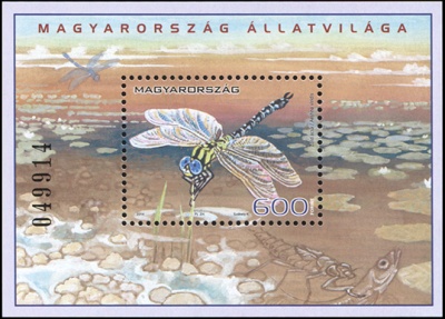 Венгрия. 2014. Насекомые (Блок. MNH OG)