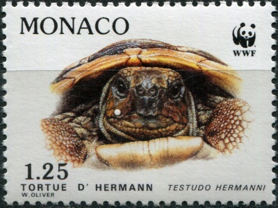 Монако. 1991. Балканская черепаха (Testudo hermanni) (Почтовая марка. MNH OG)