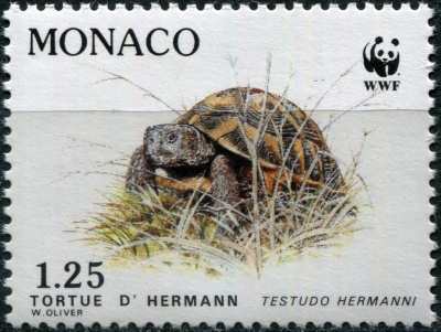 Монако. 1991. Балканская черепаха (Testudo hermanni) (Почтовая марка. MNH OG)