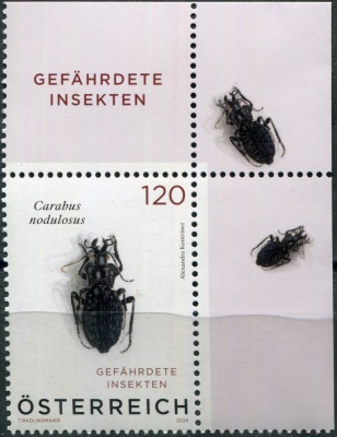 Австрия. 2024. Чёрный ямчатый жук (Carabus nodulosus) (VIII) (Почтовая марка. MNH OG)