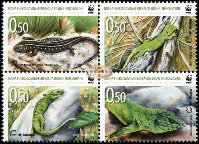 Босния и Герцеговина. 2010. Балканская зеленая ящерица (Квартблок. MNH OG)