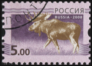 Россия. 2008. Лось на темно-фиолетовом фоне (Почтовая марка. CTO Гашеная)