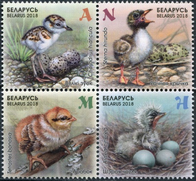 Беларусь. 2018. Детская филателия. Птенцы (Квартблок. MNH OG)
