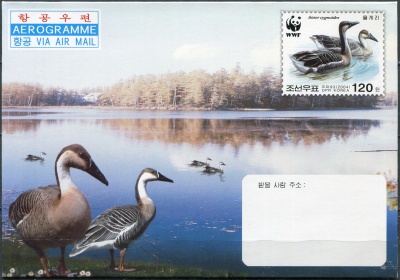 КНДР. 2004. Сухонос (Anser cygnoides) (Аэрограмма. Mint)