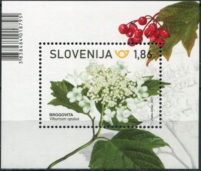 Словения. 2021. Калина обыкновенная (Viburnum opulus) (Почтовый блок. MNH OG)