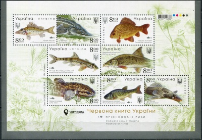 Украина. 2019. Пресноводные рыбы (Малый лист. MNH OG)