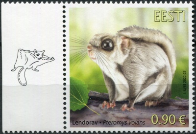 Эстония. 2022. Обыкновенная белка-летяга (Pteromys volans) (II) (Почтовая марка. MNH OG)