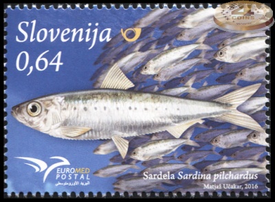 Словения. 2016. Европейская сардина (Почтовая марка. MNH OG)