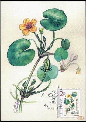 Литва. 2001. Болотноцветник щитолистный (Картмаксимум. M)