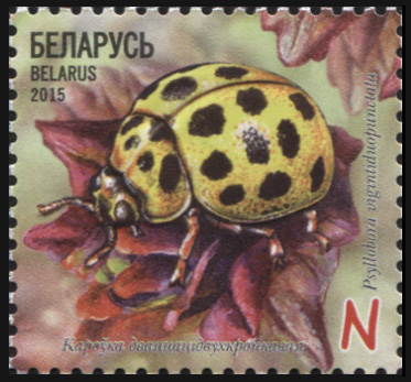 Беларусь. 2015. Коровка двадцатидвухточечная (Почтовая марка. MNH OG)