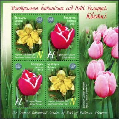 Беларусь. 2017. Цветы (Блок. MNH OG)