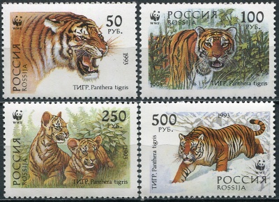 Россия. 1993. Уссурийский тигр (Panthera tigris altaica) (Серия почтовых марок. MNH OG)