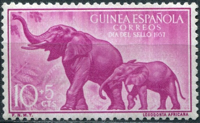 Испанская Гвинея. 1957. Африканский слон (Loxodonta africana) (Почтовая марка. MLH)