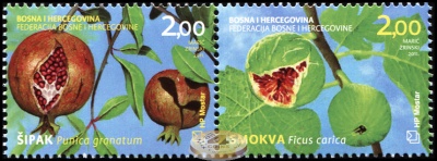 Босния и Герцеговина. 2011. Гранат и Инжир (Сцепка. MNH OG)