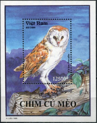 Вьетнам. 1995. Совы. Обыкновенная сипуха (Блок. MNH OG)