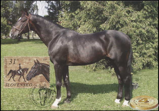 Словакия. 2005. Словацкая чистокровная лошадь (Картмаксимум. M)