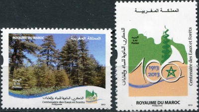 Марокко. 2013. 100 лет Министерству водного и лесного хозяйства (Серия. MNH OG)
