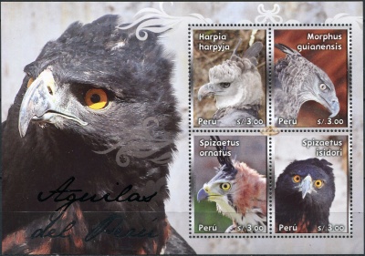 Перу. 2013. Орлы Перу (Малый лист. MNH OG)