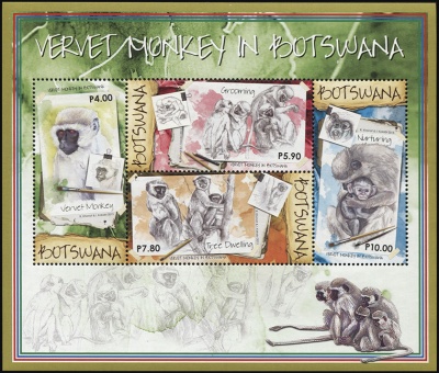 Ботсвана. 2015. Мартышка-верветка (Малый лист. MNH OG)