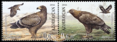 Азербайджан. 2016. Редкие птицы. Орлы (Сцепка. MNH OG)