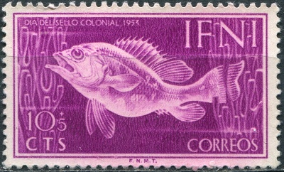 Ифни. 1953. Тёмный групер (Epinephelus gigas) (Почтовая марка. MNG)