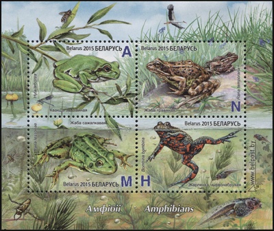 Беларусь. 2015. Амфибии. Лягушки (М.Лист. MNH OG)