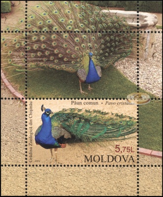 Молдова. 2013. Кишиневский Зоопарк (Блок. MNH OG)
