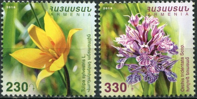 Армения. 2016. Флора Армении (Серия Почтовых марок. MNH OG)
