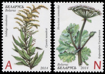 Беларусь. 2014. Инвазивные растения Беларуси (Серия. MNH OG)