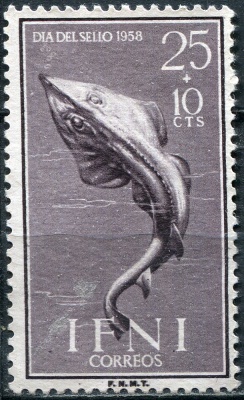 Ифни. 1958. Скат акулохвостый (Rhinobatos cemiculus) (Почтовая марка. MNG)